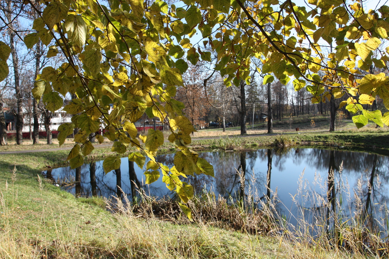 Чистые пруды